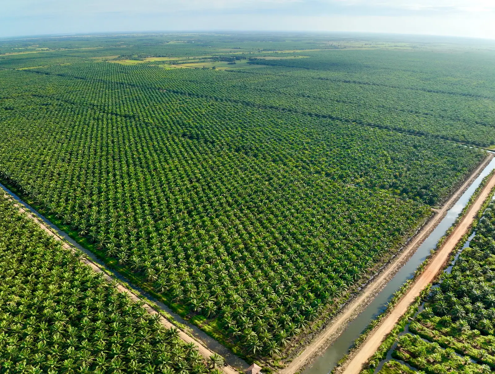 Pancaran Agro